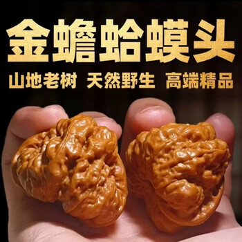 年末セール中！ 48蛤蟆头 クルミ文玩核桃 文完核桃金蝉品牌及商品- 京东