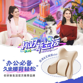 思莱宜腰靠护腰靠垫腰靠腰部靠枕办公护腰靠垫靠背护腰久坐神器靠背护腰