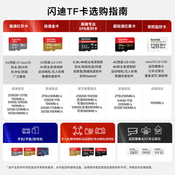 闪迪（SanDisk）128GB TF（MicroSD）4K内存卡 行车记录仪 监控摄像头专用 循环录制10,000小时 高耐用存储卡