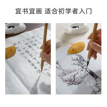 录学记白云毛笔兼毫中楷学生书法国画专用初学者入门毛笔行书小白云毛笔套装画画笔
