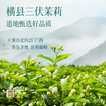 贡苑花草茶 广西原产茉莉花苞【保鲜铁罐125克】 茉莉花茶叶新花干
