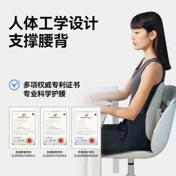 乐班腰靠垫人体工学支撑腰背靠腰托护腰久坐神器 蝶形靠垫清凉款