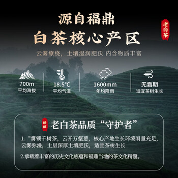 七春福鼎白茶礼盒 16年老白茶贡眉700g紧压茶饼送老师毕业季谢师礼