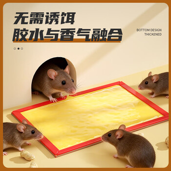 绿叶（Green Leaf）粘鼠板6张装超强力粘板老鼠贴灭鼠老鼠神器GL1005