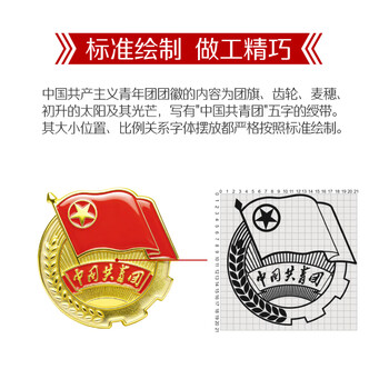 优和（UHOO）中国共青团团徽正版不褪色2025最新入团标准款学生团员徽章双面强磁磁吸大磁扣 别针款50个装0212