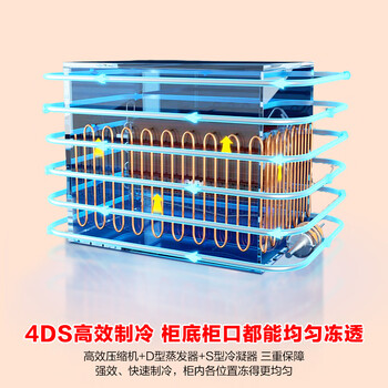 容声（Ronshen）145L单温冰柜小型家用减霜冷柜-35℃冷冻冷藏柜一级能效卧式冰箱BD/BC-145ZMSA