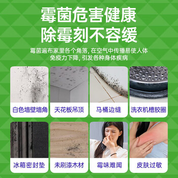 水卫仕除霉清洁剂墙体墙面去霉斑清洁剂 新旧随机发 除霉清洁剂480g*2瓶