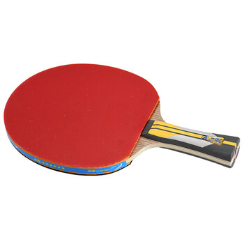 双鱼（DOUBLE FISH）单拍横拍长柄专业训练竞技娱乐全能型杨木双面反胶【6A+C 附2球】