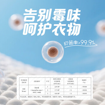 樱之花防蛀片剂2片无香菊酯植物防蛀机制代替樟脑丸卫生球羊绒棉驱蛀虫