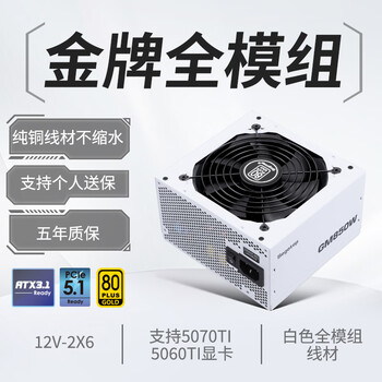 鑫谷（segotep）GM850W ATX3.1金牌全模组冰山版电源（12V-2X6支持5070Ti/5060Ti显卡/白色台式电脑主机箱电源）