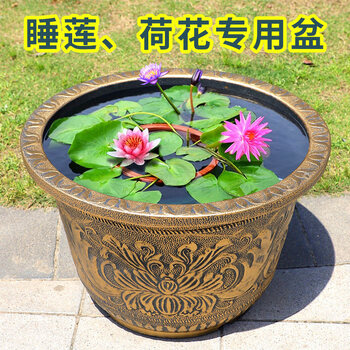 荷花缸荷花缸价格报价行情- 京东