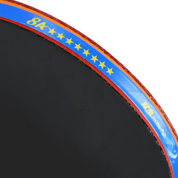 双鱼（DOUBLE FISH）八星级横拍长柄比赛专业级桧木碳素双面反胶双鱼乒乓球拍8A+C