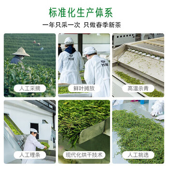 芳羽2026新茶预订安吉白茶核心原产地绿茶40克 茶叶 便携袋装春茶