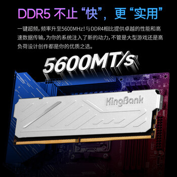 金百达(KINGBANK)32GB(16GBX2)套装 DDR5 5600 台式机内存条 银爵 金百达(KINGBANK)32GB(16GBX2)套装 DDR5 5600 台式机内存条 银爵