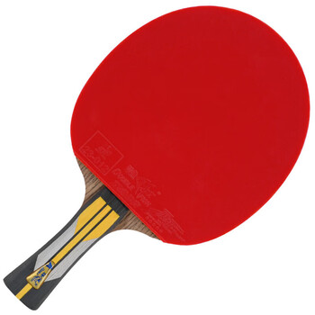 双鱼（DOUBLE FISH）单拍横拍长柄专业训练竞技娱乐全能型杨木双面反胶【6A+C 附2球】