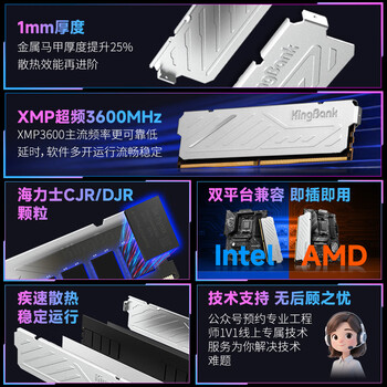 金百达(KINGBANK)32GB(16GBX2)套装 DDR4 3600 台式机内存条 海力士原装CJR/DJR颗粒 银爵 C18 金百达(KINGBANK)32GB(16GBX2)套装 DDR4 3600 台式机内存条 海力士原装CJR/DJR颗粒 银爵 C18