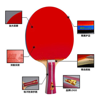 双鱼（DOUBLE FISH）三星级横直对拍乒乓球拍（附4球/京仓速发）3A+C/E对拍