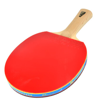 双鱼（DOUBLE FISH）九星专业级乒乓球拍比赛碳素维高弹乒乓球拍  【9A+C 附2球】