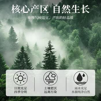 福茗源金银花菊花决明子茶5罐共700g 菊花枸杞茶金桔八宝茶养生茶饮