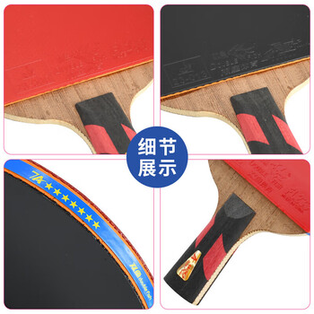 双鱼（DOUBLE FISH）七星级进阶级高弹耐打双面反胶皮弧圈结合快攻型乒乓球拍7A+E