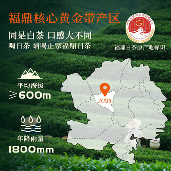 熙溪福鼎白茶 2019年白牡丹300g 单饼白茶饼囤茶老白茶茶叶 