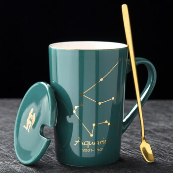 水杯个性带盖勺男女学生杯子家用咖啡杯情侣杯马克杯水瓶座普通包装