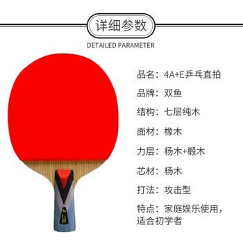 双鱼（DOUBLE FISH）单拍直拍初学者快攻型业余训练成品乒乓球拍【4A+E 附2球】