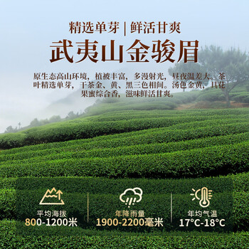去寻武夷山珍品红茶高山蜜韵特级金骏眉茶叶礼盒装250g送礼物品
