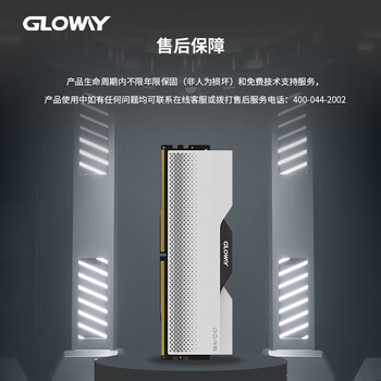 光威（Gloway）32GB DDR5 6000 台式机内存条 龙武 马甲条 海力士A-die CL30 深空银 AI电脑配件升级
