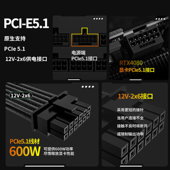 长城（Great Wall）额定1300W G13金牌全模组电源（ATX3.1标准/原生PCIe5.1接口/自动启停/全电压/单路12V/5090）