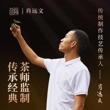 去寻绿茶龙井明前特级小罐装茶叶礼盒装76g新茶送礼物品