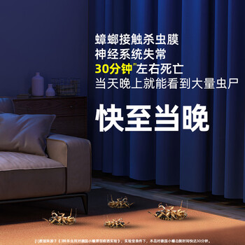 巴斯夫速克力呋虫胺蟑螂药全窝端杀虫剂喷雾灭除虫卵双杀下水道5g