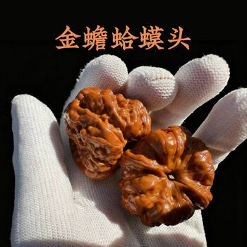 蛤蟆核桃图片- 京东