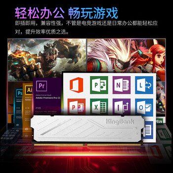 金百达（KINGBANK）32GB(16GBX2)套装 DDR5 6000 台式机内存条海力士M-die颗粒 银爵 C36 Deepseek硬件