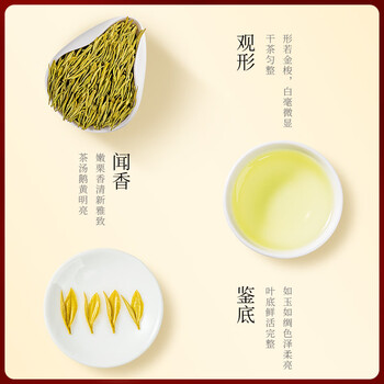 贡苑头采安吉白茶黄金芽特级400g 2025新绿茶高档茶叶礼盒年货节送人