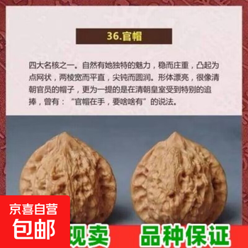文玩核桃树价格报价行情- 京东