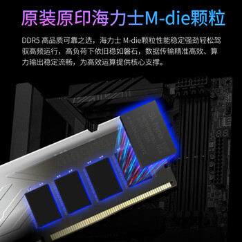 金百达（KINGBANK）64GB(32GBX2)套装 DDR5 6000 台式机内存条海力士M-die颗粒 银爵 C36 Deepseek硬件