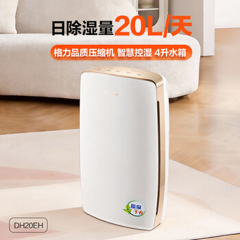 格力（GREE）除湿机抽湿机家用20升/天单间≤40㎡回南天梅雨季除潮防霉干燥干衣机智能控湿24h定时DH20EH