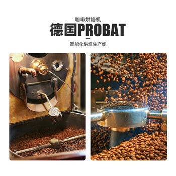 中啡（ZHONGFEI）云南小粒咖啡厌氧日晒咖啡豆250g 手冲咖啡现磨新鲜 浅中度烘焙