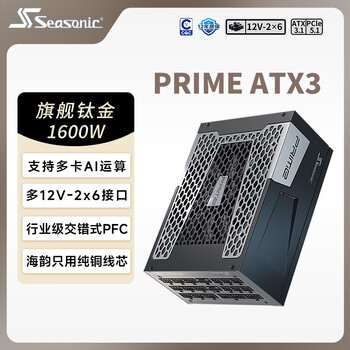 海韵（SEASONIC）【PRIME旗舰至尊】1600W 钛金全模 电脑电源｜AI 数据中心首选｜CQC 5级｜ATX 3.1｜支持5090显卡