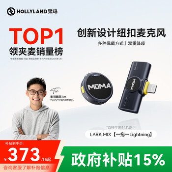 猛玛麦克风- 京东