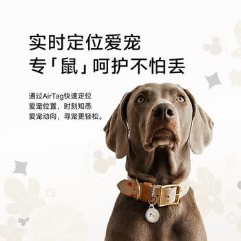 贝尔金(BELKIN)适用AirTag/AirTag2保护壳 钥匙扣书包挂扣 苹果airtag保护追踪器别扣 硅胶耐脏防摔壳 闪耀米奇 贝尔金(BELKIN)适用AirTag/AirTag2保护壳 钥匙扣书包挂扣 苹果airtag保护追踪器别扣 硅胶耐脏防摔壳 闪耀米奇
