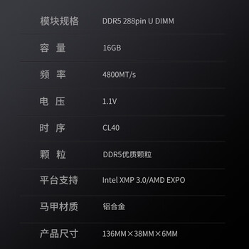 金百达(KINGBANK)16GB DDR5 4800 台式机内存条 银爵 金百达(KINGBANK)16GB DDR5 4800 台式机内存条 银爵