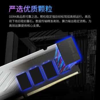 金百达（KINGBANK）16GB DDR4 2666 台式机内存条 银爵