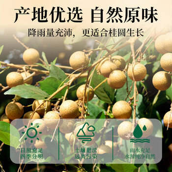 福茗源茶叶 桂圆肉 精选无核免剥龙眼干桂圆干泡水喝滋补养生茶罐装250g