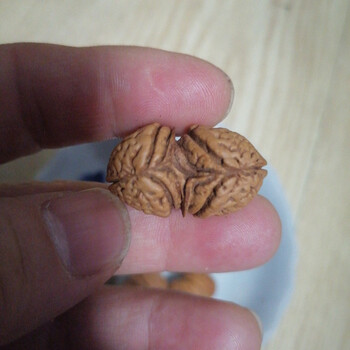 连体文玩核桃价格报价行情- 京东