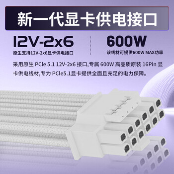 长城（Great Wall）额定1000W F10白色白金牌全模组电源（ATX3.1标准/原生PCIe5.1/自动启停/全电压/闪电加速）