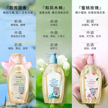 芝芙莲内衣裤洗衣液清洁液经典莲香300ml专用去血渍污渍留香持久
