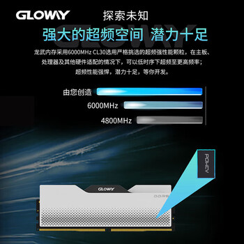 光威（Gloway）32GB DDR5 6000 台式机内存条 龙武 马甲条 海力士A-die CL30 深空银 AI电脑配件升级
