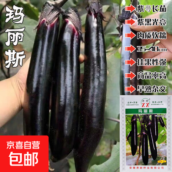 新茄瓜价格报价行情- 京东